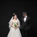 메종드레이나 이미지