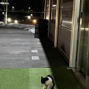 카페쿠담