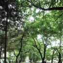 허밍푸드