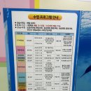 [블챌 수영 기록] 인천 일신스포츠센터 수영장 자유수영 후기