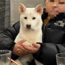 스테이미노 이미지