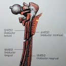 디오필라앤핏 오목교점 이미지