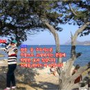 한국천기권의료기 이미지