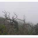 양지-3357 이미지