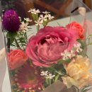 분당 판교 대장동 꽃집 추천, 웰커밍플라워(Welcoming Flower)