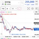 사자약품 이미지