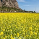 서쪽에서(귤이네) 이미지