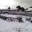 들녁의 하얀집 이미지