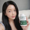 유황커피 | 설퍼플러스 유황공심채 후기! 관절건강을 위해서 먹어요