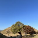 논현로5길 17 이미지