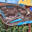 머지고래 이미지