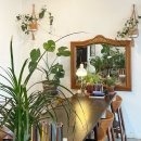 사부작채집가 이미지