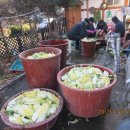 백마농장3 이미지