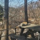 강원재활원 | 춘천 슬라이딩도어수리 레일 보수 시공후기