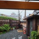 배키우동 이미지