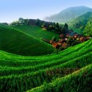 비즈트랜스 외국어번역 행정사사무소 이미지