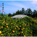 중문동-9 이미지