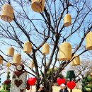 아난티 남해 | 남해 골프장 아난티cc 라운딩후기