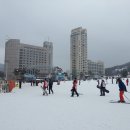 휘닉스 파크 이미지