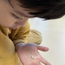 연세이도치과의원 이미지