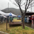 호반으로 여행 | 2026 청도 운문호 축제 경북 벚꽃 여행 운문호반십리벚꽃길걷기대회 후기