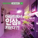 영미농장 이미지