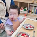 우두나무어린이집 - 우두로 이미지