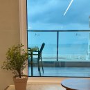 스테이도유 이미지