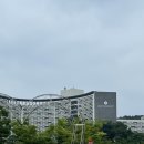 서동할인마트 | 이번 여름휴가는 1박2일 부여여행 어떠신지