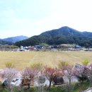 내장산문화광장 이미지