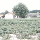 현희농장 이미지