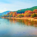 “출렁다리가 산에만 있는 줄 알았죠”… 늪 한가운데 98.8m 건너는 출렁다리 무료명소 이미지