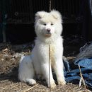 강산농장 이미지