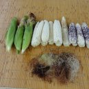 종경농장 이미지