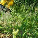 선돌농장 이미지