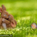 숲속의 컨벤션 이미지