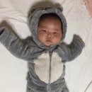 참신한소아과 네이버블로그