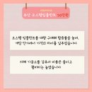 치아사랑치과기공소 이미지