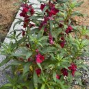 영화황토민박 이미지