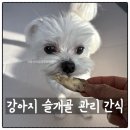 초록푸드 | 슬개골 수술 후 관절 관리 및 밥꾸 간식 추천, 트러스티푸드 초록입홍합 동결건조간식 내돈내산 후기