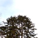 한라산신제단 | 한라산제를 지내는 산천단