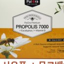 엔젯블루