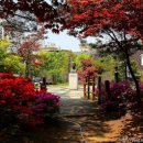 부천펄벅기념관 이미지