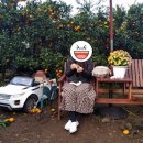 (주)행운식품 이미지