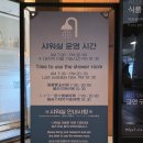 터미널 1 | 마티나 라운지 인천공항 1터미널 동편 이용 후기