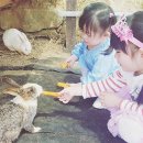 밀양 가볼만한곳 베스트 10 밀양 갈만한곳