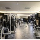 도미디 피트니스 이미지