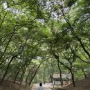 황포돗대 | 2026.05.02~05.03 부여,공주(백제문화권)