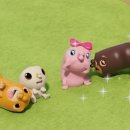 강아지 이발소 이미지