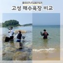 해맞이사우나 | 강원도 고성 아이와 바다 비교 마차진해수욕장 대진1리해변